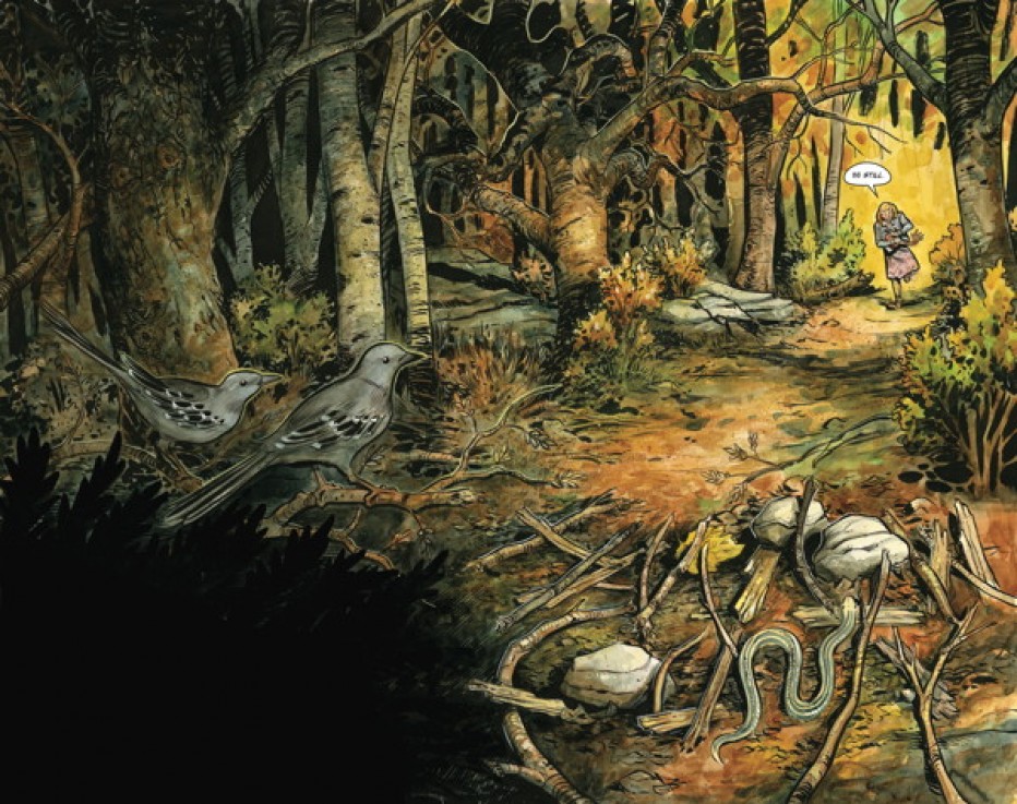 Harrow County vol 1 Countless Haints s/c by Cullen Bunn & Tyler Crook